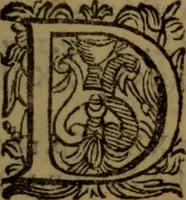 An illustration from De medica historia mirabili libri sex (1597)