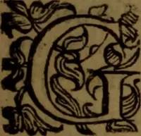 An illustration from De medica historia mirabili libri sex (1597)