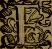 An illustration from De medica historia mirabili libri sex (1597)