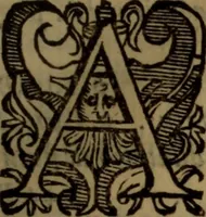 An illustration from De medica historia mirabili libri sex (1597)