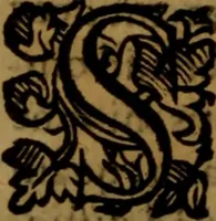 An illustration from De medica historia mirabili libri sex (1597)