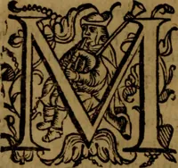 An illustration from De medica historia mirabili libri sex (1597)