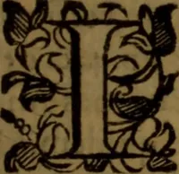 An illustration from De medica historia mirabili libri sex (1597)