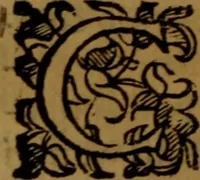 An illustration from De medica historia mirabili libri sex (1597)