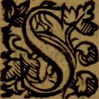 An illustration from De medica historia mirabili libri sex (1597)