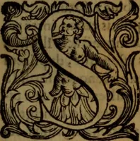 An illustration from De medica historia mirabili libri sex (1597)