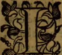 An illustration from De medica historia mirabili libri sex (1597)