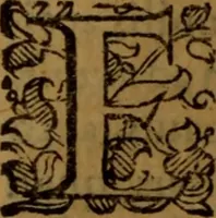 An illustration from De medica historia mirabili libri sex (1597)