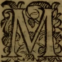 An illustration from De medica historia mirabili libri sex (1597)
