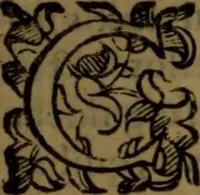 An illustration from De medica historia mirabili libri sex (1597)
