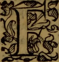 An illustration from De medica historia mirabili libri sex (1597)
