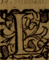 An illustration from De medica historia mirabili libri sex (1597)