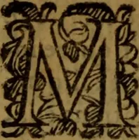 An illustration from De medica historia mirabili libri sex (1597)