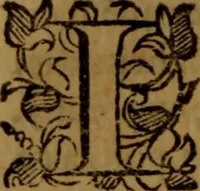 An illustration from De medica historia mirabili libri sex (1597)