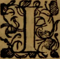An illustration from De medica historia mirabili libri sex (1597)