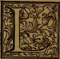 An illustration from De medica historia mirabili libri sex (1597)