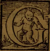 An illustration from De medica historia mirabili libri sex (1586)