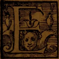 An illustration from De medica historia mirabili libri sex (1586)