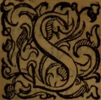 An illustration from De medica historia mirabili libri sex (1586)