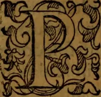 An illustration from De medica historia mirabili libri sex (1586)