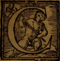 An illustration from De medica historia mirabili libri sex (1586)