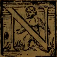 An illustration from De medica historia mirabili libri sex (1586)