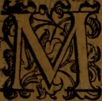 An illustration from De medica historia mirabili libri sex (1586)