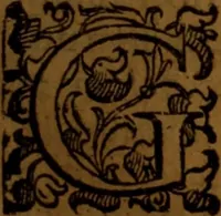 An illustration from De medica historia mirabili libri sex (1586)