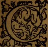 An illustration from De medica historia mirabili libri sex (1586)