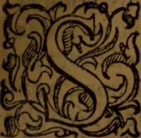 An illustration from De medica historia mirabili libri sex (1586)