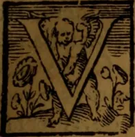 An illustration from De medica historia mirabili libri sex (1586)