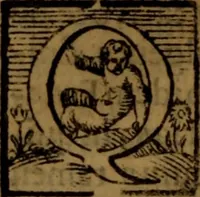 An illustration from De medica historia mirabili libri sex (1586)