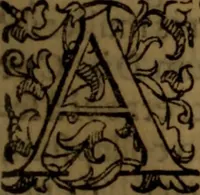 An illustration from De medica historia mirabili libri sex (1586)