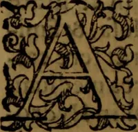 An illustration from De medica historia mirabili libri sex (1586)