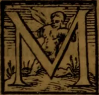 An illustration from De medica historia mirabili libri sex (1586)