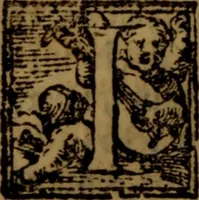 An illustration from De medica historia mirabili libri sex (1586)