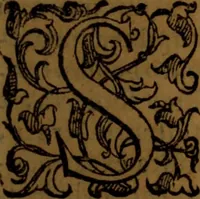 An illustration from De medica historia mirabili libri sex (1586)