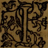 An illustration from De medica historia mirabili libri sex (1586)