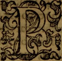An illustration from De medica historia mirabili libri sex (1586)
