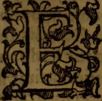 An illustration from De medica historia mirabili libri sex (1586)