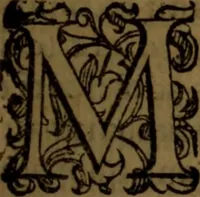 An illustration from De medica historia mirabili libri sex (1586)