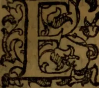 An illustration from De medica historia mirabili libri sex (1586)