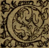 An illustration from De medica historia mirabili libri sex (1586)