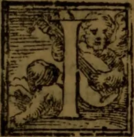 An illustration from De medica historia mirabili libri sex (1586)