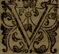 An illustration from De medica historia mirabili libri sex (1586)