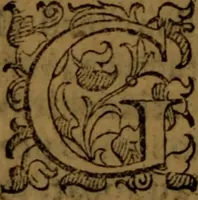 An illustration from De medica historia mirabili libri sex (1586)