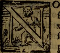 An illustration from De medica historia mirabili libri sex (1586)