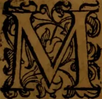 An illustration from De medica historia mirabili libri sex (1586)