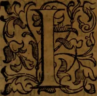 An illustration from De medica historia mirabili libri sex (1586)
