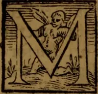 An illustration from De medica historia mirabili libri sex (1586)